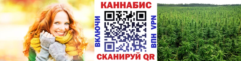 Где купить Ак-Довурак АМФ Марихуана A PVP МЕФ блэк спрут онион ГАШИШ