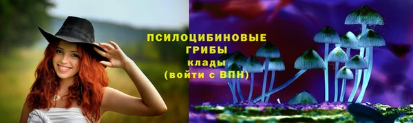прущие крисы Алзамай