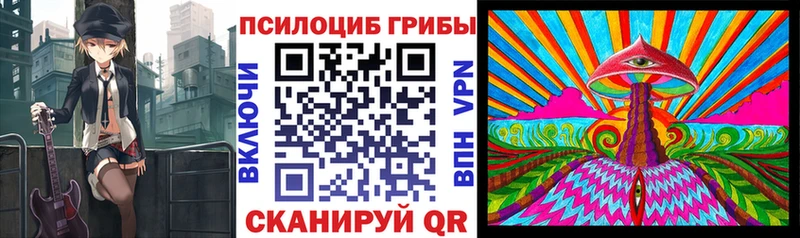 Псилоцибиновые грибы Cubensis  Ак-Довурак 